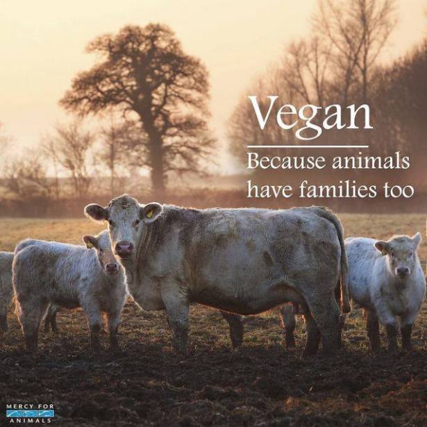 21768299_2003587673220365_5982711876107871980_n