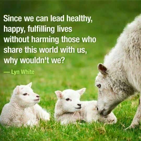 22008209_10155785499228979_2896691716400011804_n