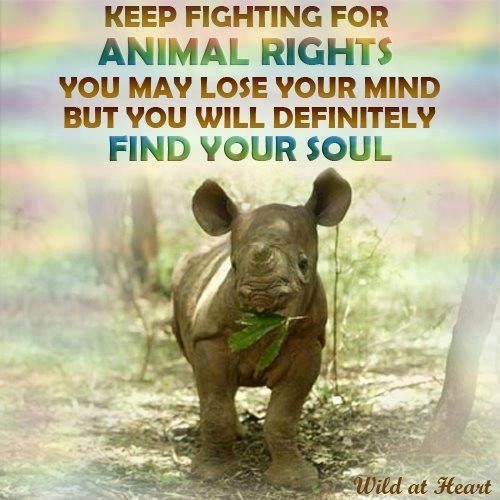 6a3dab3dfc16dace3f14695d1b2459e9