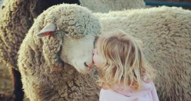 f0fd7e39d472c0a8db25b838a29d6e20--country-life-country-living2