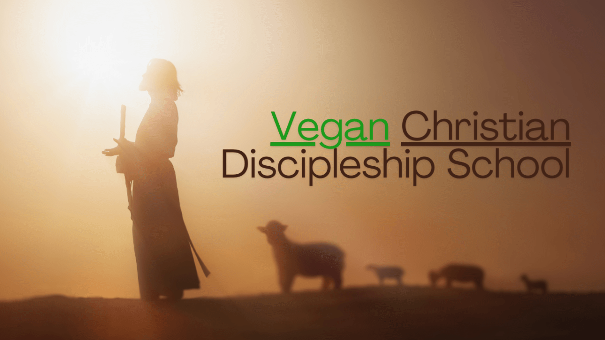 Discipleship School Swords to Plowshares